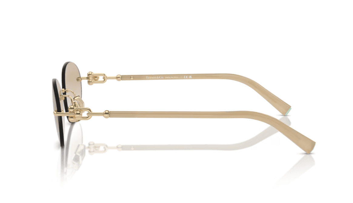TIFFANY & CO. TF3104D — Lateral